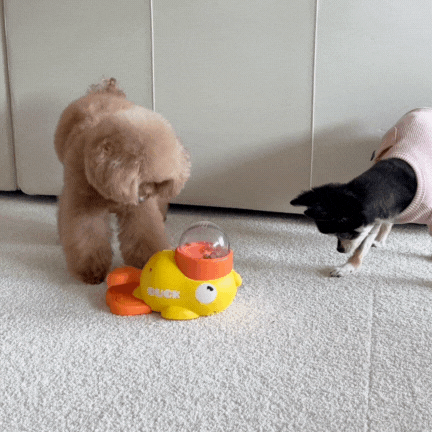 Interactive Pet Feeder Toy